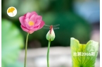 杏林早报 | 下午腿就开始肿？别以为是累