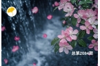 杏林早报 | 月经量少别大意！经前疏肝、