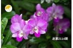 杏林早报 | 前列腺炎患者必看：不只是消